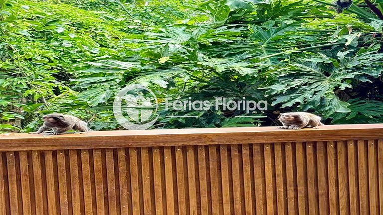 Conforto e natureza no sul da ilha