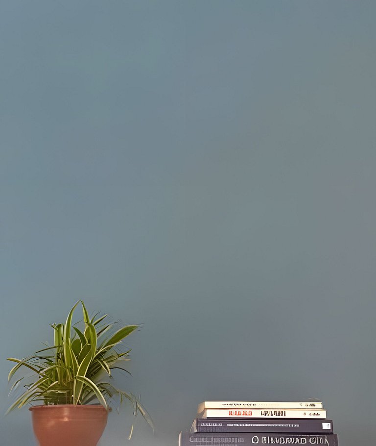 Refúgio Açores
