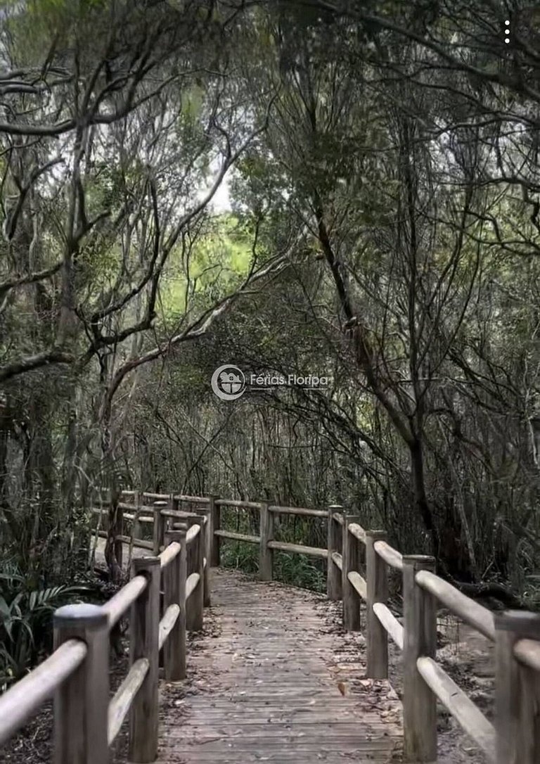 Casa Coliseu Condomínio Fechado - Campeche Joaca